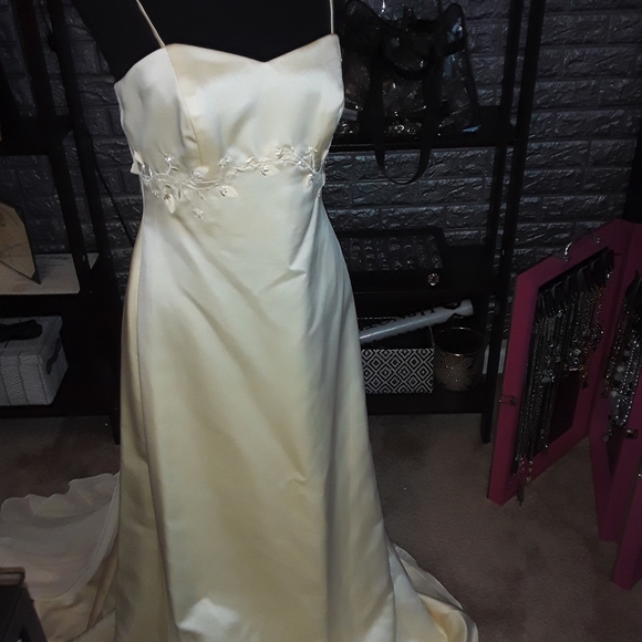 Bridesmaids Dress - Picture 1 of 17